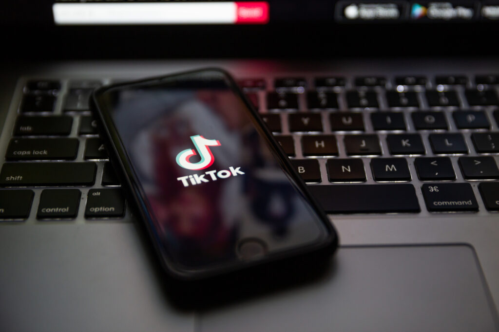 TikTok Expert Consultation Services