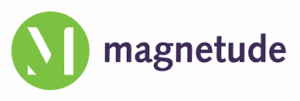 Magnetude Consulting logo.